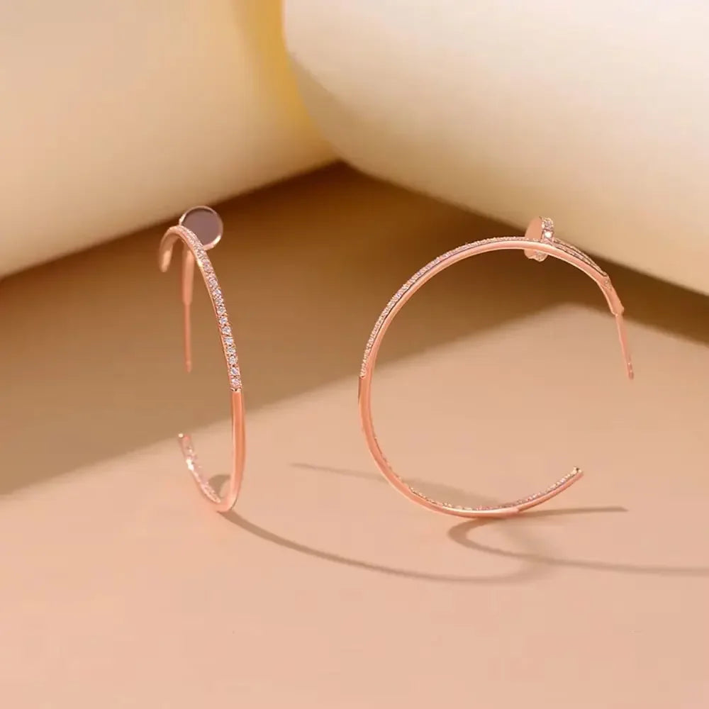 Moissanite Earrings Real 925 Sterling Silver Large Hoop Earrings for Women D Color VVS1 Lab Diamond Wedding Stud Fine Jewelry